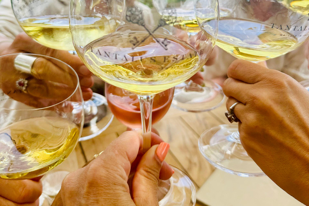 Da Auckland: tour delle cantine dell'isola di Waiheke