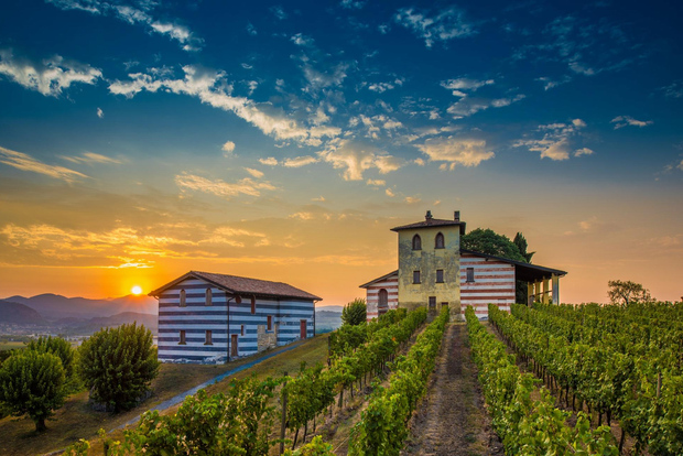 Mailand: Tagestour zum Weingut Franciacorta und Bergamo mit Mittagessen