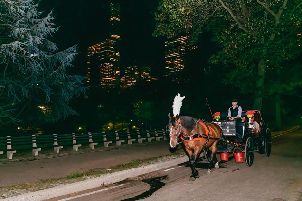 NYC MOONLIGHT HORSE CARRIAGE RIDE through Central Park