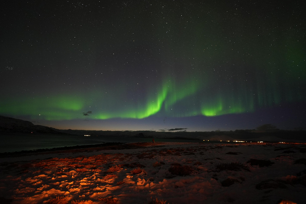 Cerca la magia dell'aurora boreale a Tromsø, in Norvegia.