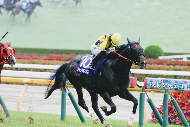 Tokyo: Horse Racing Experience with Local Fan