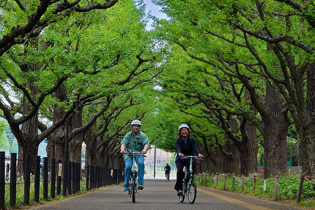 Tokio: 3h private E-Bike Touren, beginnend an deinem Hotel
