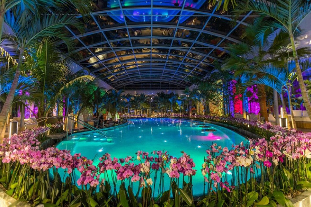 Bucarest: Biglietto d'ingresso alle Therme Bucuresti con trasferimento