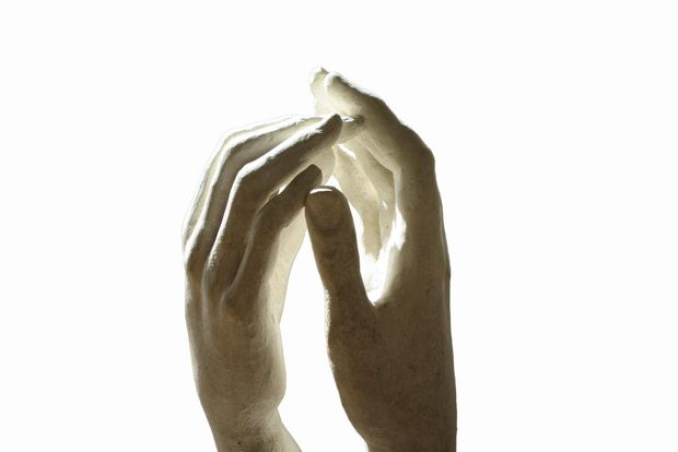 Museo Rodin: Tour guidato "salta la fila" con l'artista