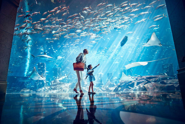 Dubai: biglietto d'ingresso per l'acquario Lost World