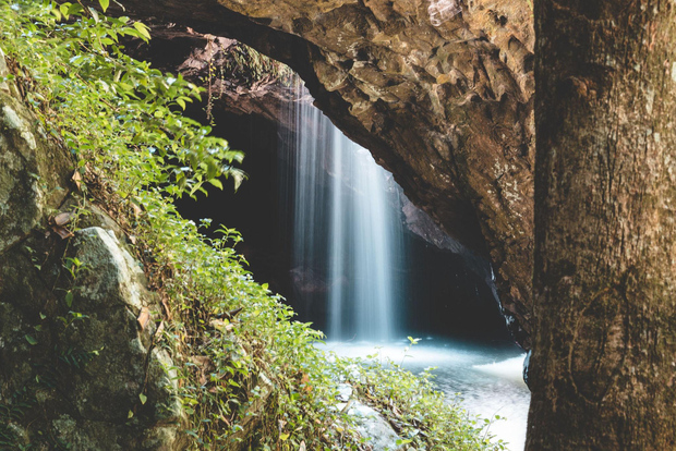 Depuis Brisbane : forêt tropicale et grottes de Glow Worm