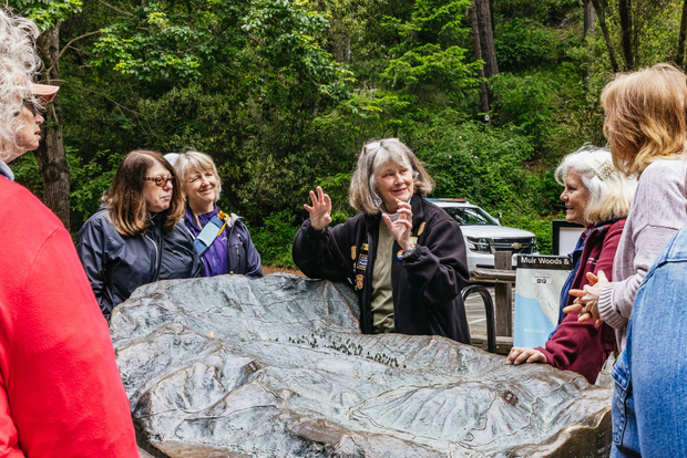 Gran tour della città di San Francisco + Muir Woods e Sausalito