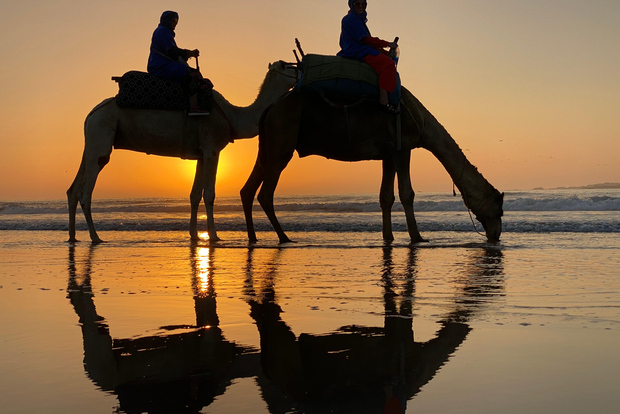 Катание на квадроциклах и верблюдах: острые ощущения и традиции