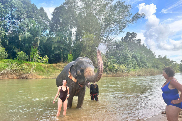Khao Sok: giornata dedicata agli elefanti e rafting su zattere di bambù