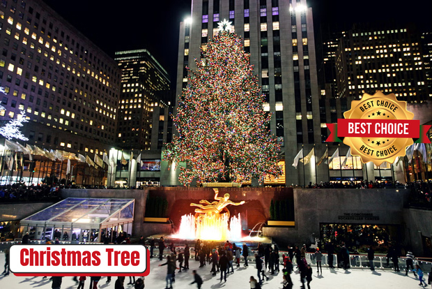 New York: Tour in Pedicab dell'Albero di Natale del Rockefeller Center