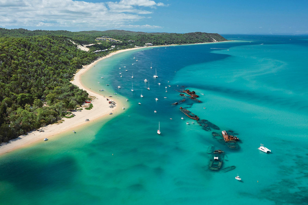 Brisbane: Crucero clásico de un día a Tangalooma en la Isla Moreton