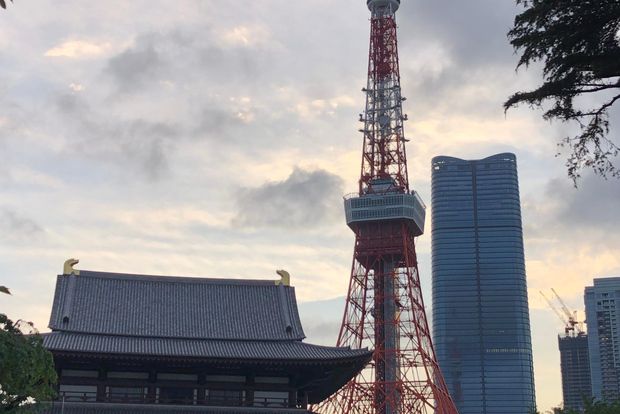 Tokyo Tours in Spanish (Tsukiji Market-Ginza-Tokyo Tower)