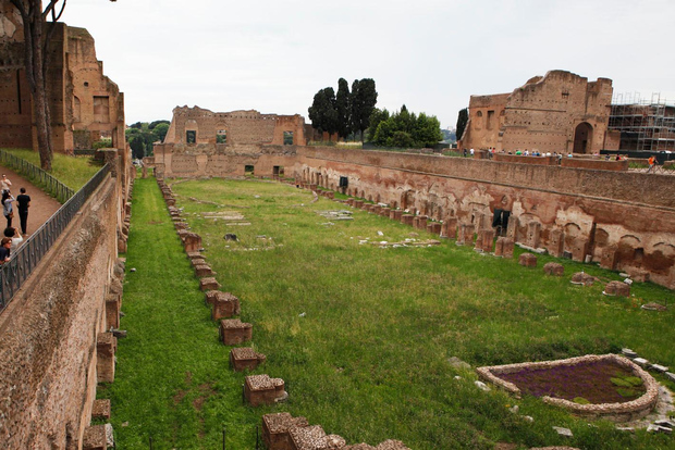 Private Colosseum, Roman Forum, and Palatine Walking Tour