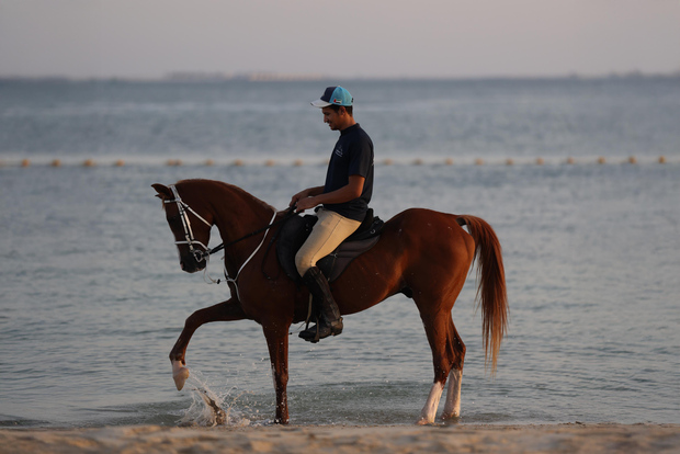 Abu Dhabi: esperienze a cavallo sull'isola di Hudairiyat