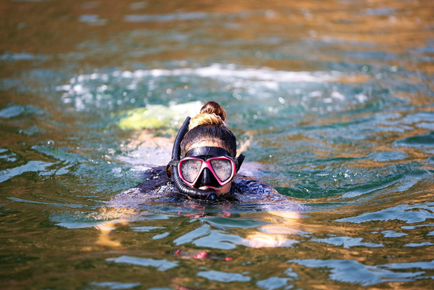 Mascate: golfinhos, baleias e mergulho com snorkel