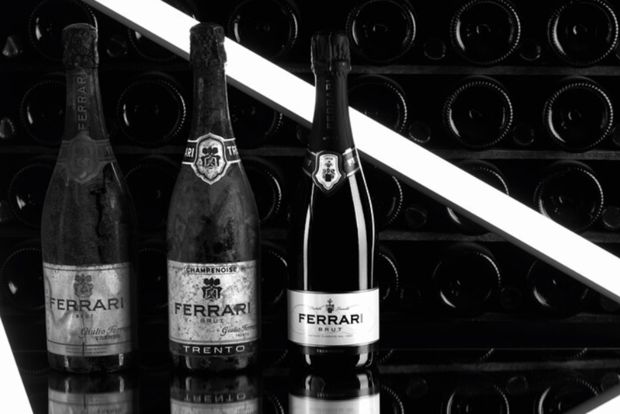 Trento: Tour della cantina Ferrari e pranzo locale vicino alle Dolomiti