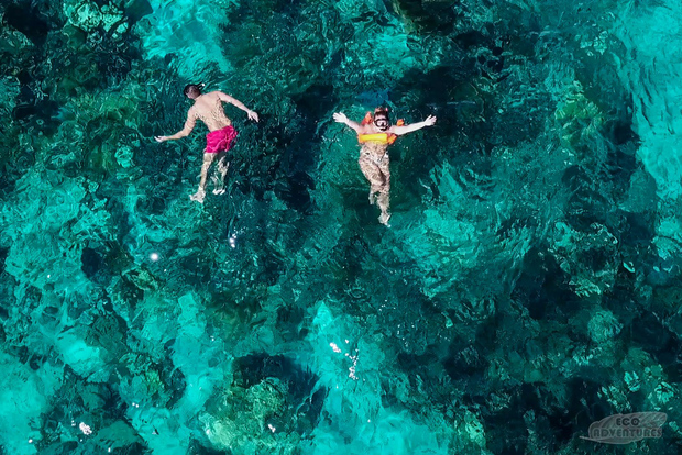 Da Punta Cana: tour di Catalina Snorkeling e Altos de Chavon