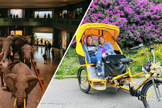 Tour in risciò di Central Park + accesso opzionale al Museo di Storia Naturale