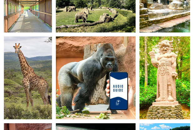 Online-Audioguide des Prager Zoos (kein Ticket)