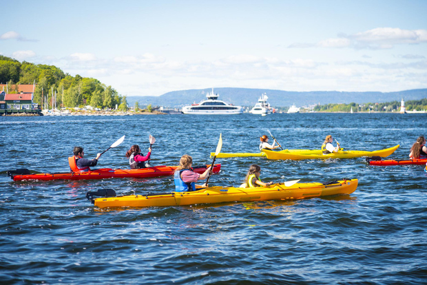 Tour di Oslo in kayak di mare "Città dei fiordi