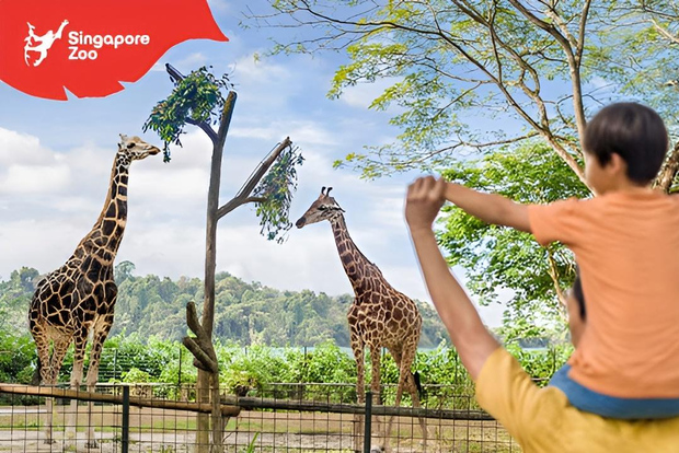Singapore Zoo: 1-Day Entrance E-Ticket