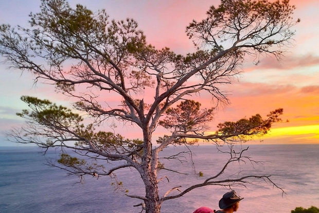 Portofino: Private Scenic Hike and Gelato Experience