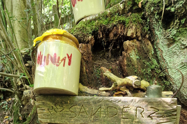 Da Londra: Tour di un giorno nel Bosco dei Cento Acri di Winnie-the-Pooh