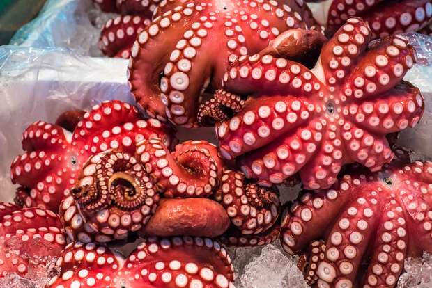 Tokyo: Tsukiji Market Small Group Tour