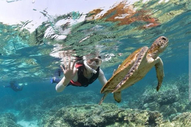 Muscat: Daymaniyat Islands Snorkeling Trip + BBQ-style Lunch