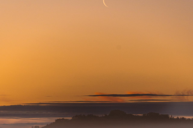 Lofoten: tour magico di mezzanotte con snack e bevande
