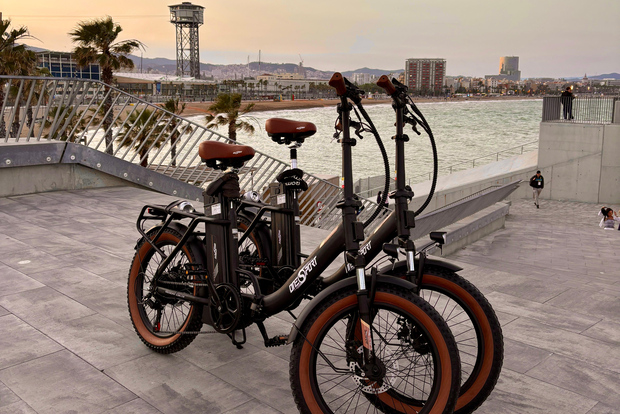 Barcellona: esplora la città con le e-bike a noleggio ecologiche