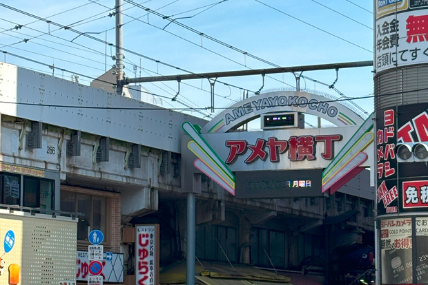 Tokyo: tour a piedi del parco di Ueno e della via Ameyoko