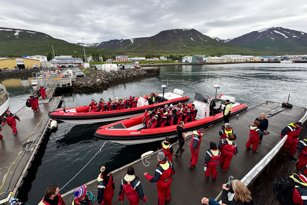 Dalvík: tour in motoscafo per l'avvistamento delle balene