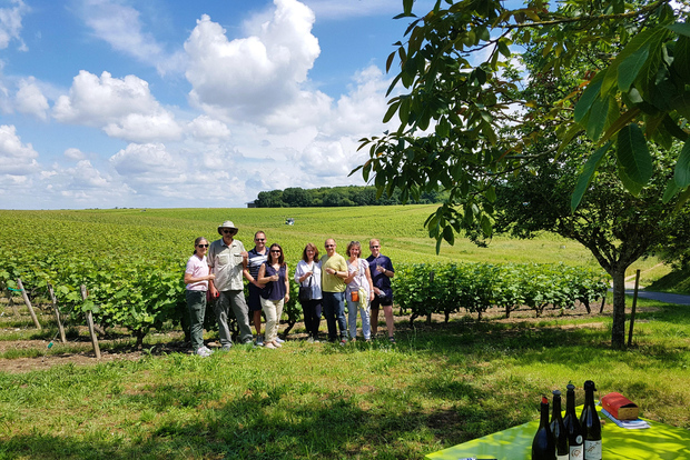 Da Tours: Tour pomeridiano dei vini della Valle della Loira a Vouvray