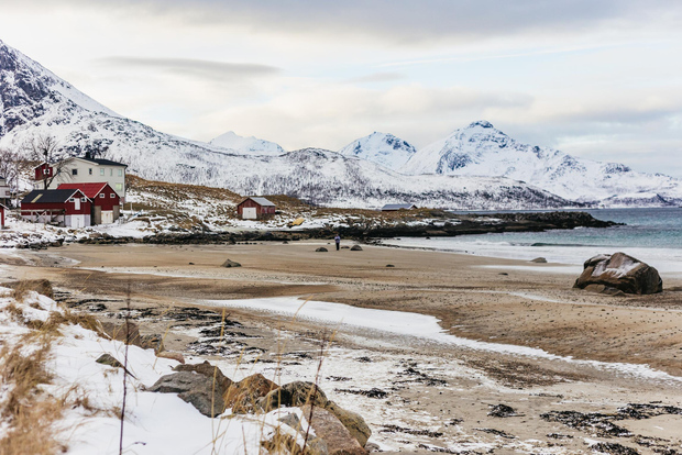 Tromsø: Arctic Landscape and Fjord Tour with Snacks