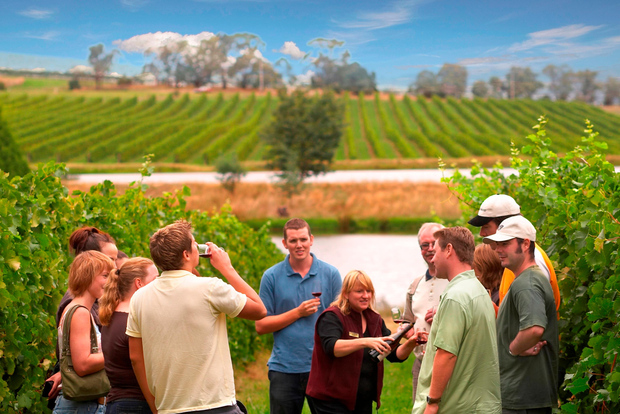 Melbourne: Full-Day Yarra Valley Wine Experience with Lunch