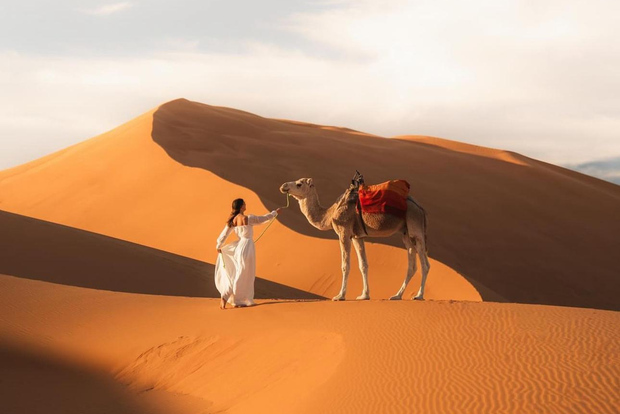 Majestic Desert: 3-Day Luxury Journey from Marrakech to Fes