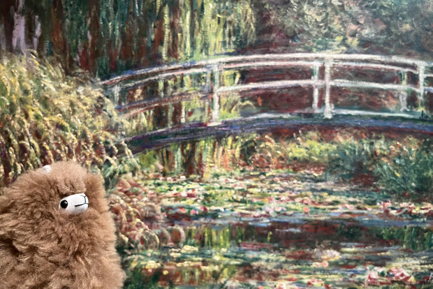 Biglietti per l'ingresso al museo dell'Orangerie e tour privato guidato