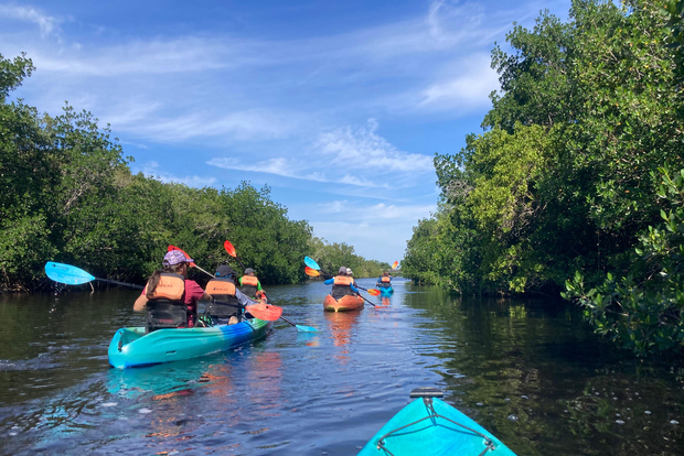 Miami: Kajak- und Wandertour im Everglades-Nationalpark