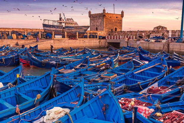 From Marrakech: Small Group to Essaouira & Sekkala Day Trip