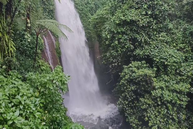 Da Giacarta: Giardino botanico di Bogor, campo di riso e cascata