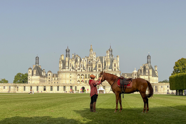 Parigi: Tour dei castelli della Valle della Loira con degustazione di vino