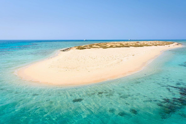 Desde Sharm Excursión de snorkel a la Isla Blanca y Ras Mohamed