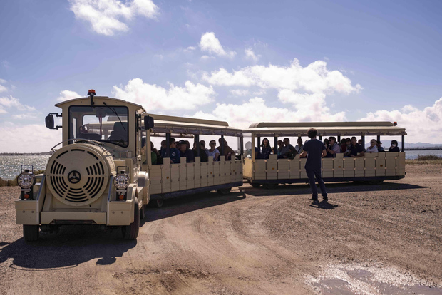Cagliari: Conti Vecchi Salt Flats Train and Tour