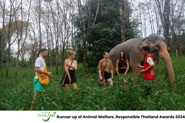 Phuket: Ethical Elephant Sanctuary Interactive Tour