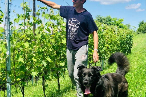 Weinverkostung und Kellereibesichtigung in der Nähe von Asti und Turin