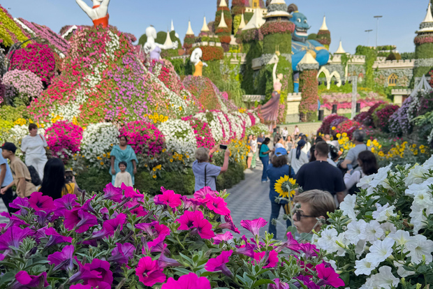 Dubai: tour del Miracle Garden con trasferimento di andata e ritorno