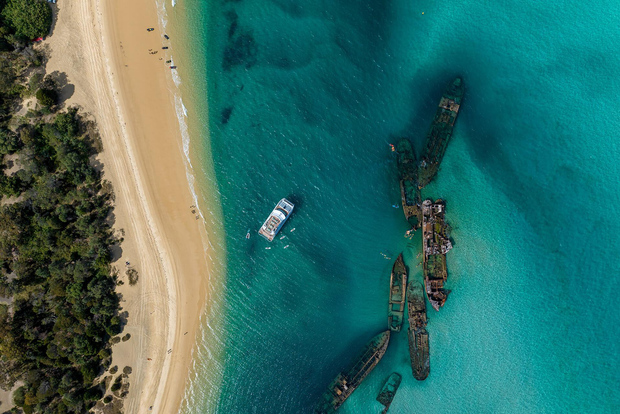 Isla Moreton: Excursión premium de snorkel y delfines en Tangalooma