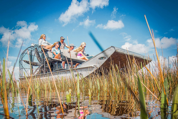 Miami: Everglades National Park Airboat Tour & Wildlife Show