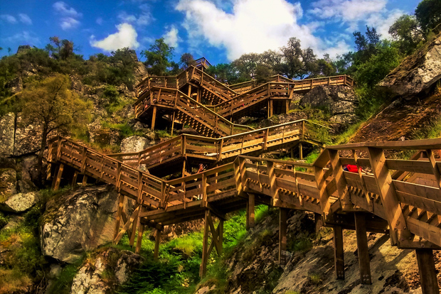 From Porto: Aveiro, Paiva Walkways, & Suspension Bridge Tour